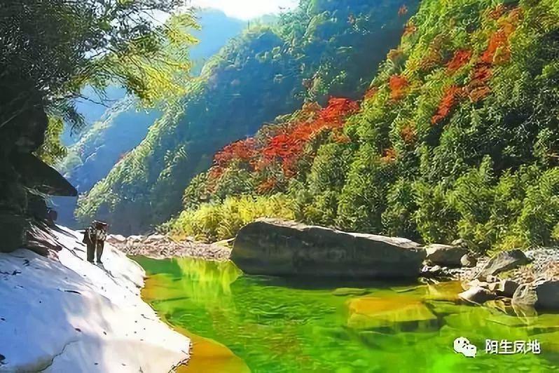 求生指南2